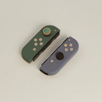 Joy-Con - Melon & Berry (discontinued)