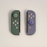 Joy-Con - Melon & Berry (discontinued)