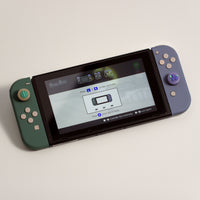Joy-Con - Melon & Berry (discontinued)